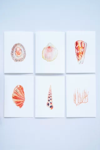 TARJETAS NARANJA